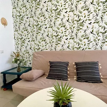 Gatu Verano Con Parking, Wifi, Piscina , 